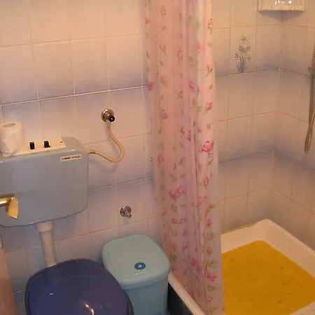 Accommodation Rajna Apartment Seline